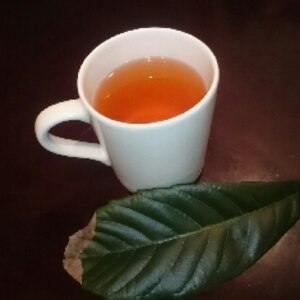 薬効豊富な薬膳健康茶！びわの葉茶 